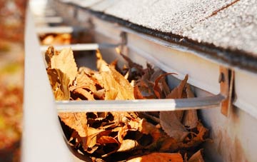 Woodcote gutter cleaning companies