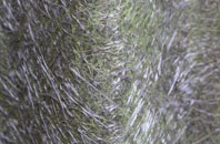 Woodcote fibreglass roof work